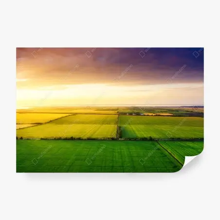 Fotomural vistas aéreas de campos al atardecer – Pixers®