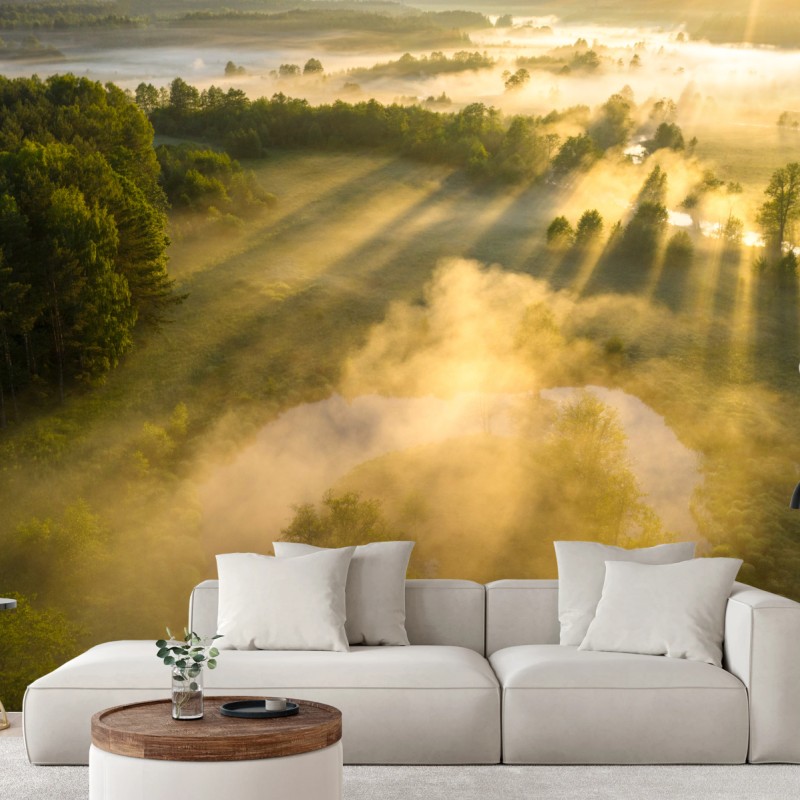 Fotomural amanecer dorado sobre río y pradera en niebla