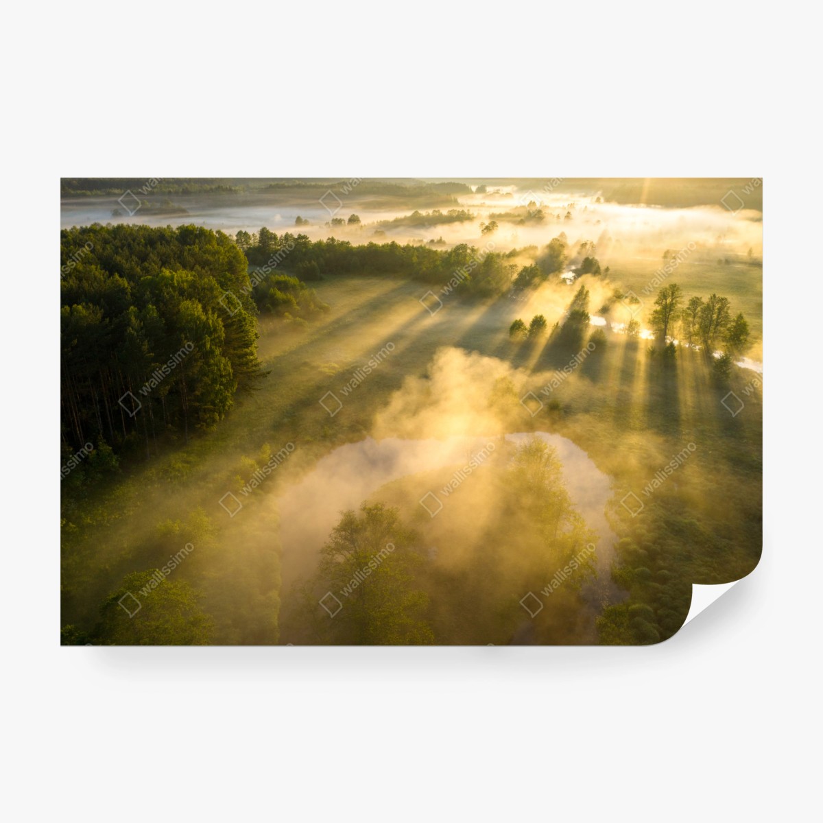Fotomural amanecer dorado sobre río y pradera en niebla – Pixers®
