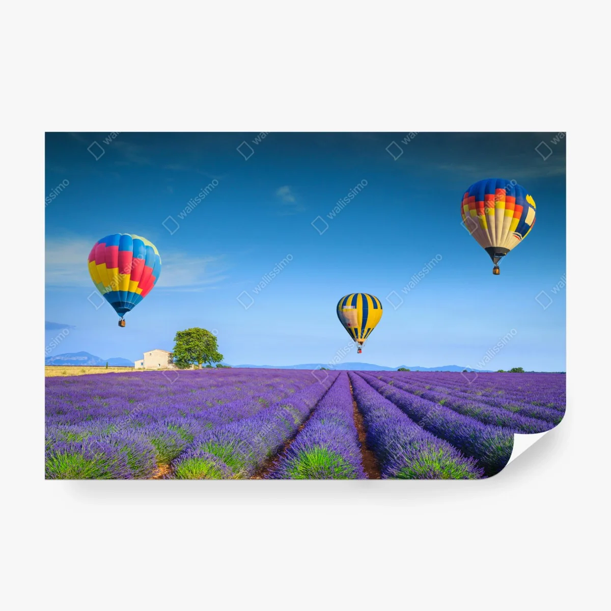 Fotomural lavanda y globos sobre Valensole – Pixers® Fotomural lavanda y globos sobre Valensole – Pixers®