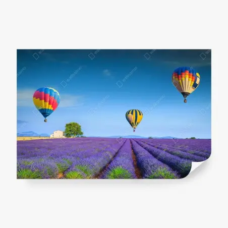 Fotomural lavanda y globos sobre Valensole – Pixers®
