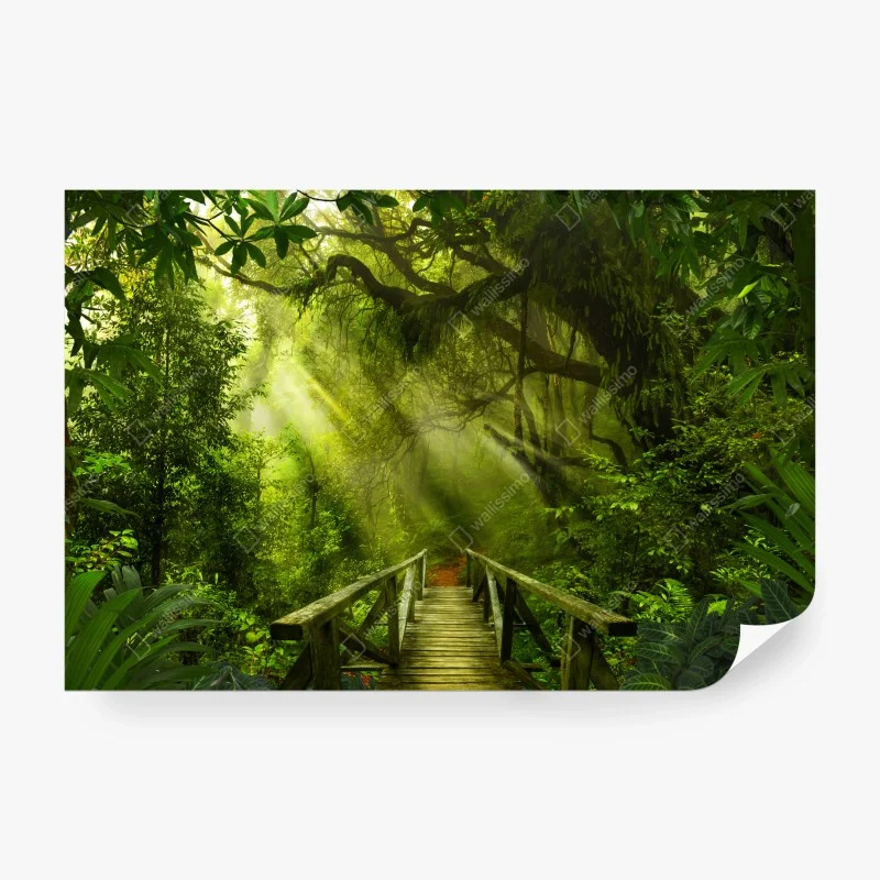 Fotomural puente en la selva bañado por rayos de sol