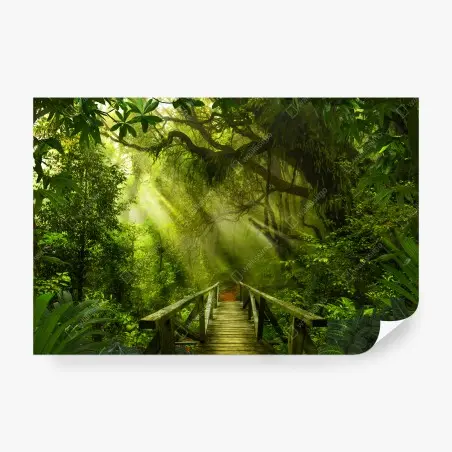 Fotomural puente en la selva bañado por rayos de sol – Pixers®