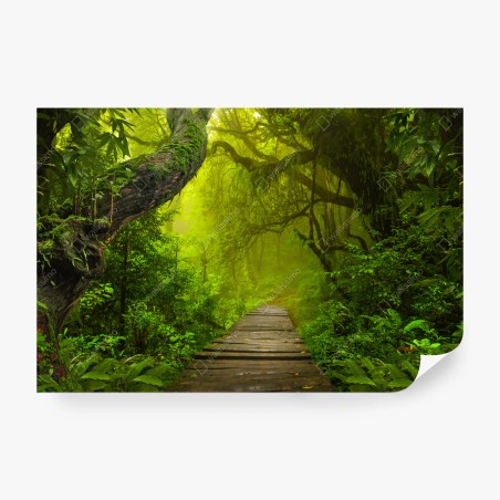 Fotomural sendero místico en la selva verde – Pixers®