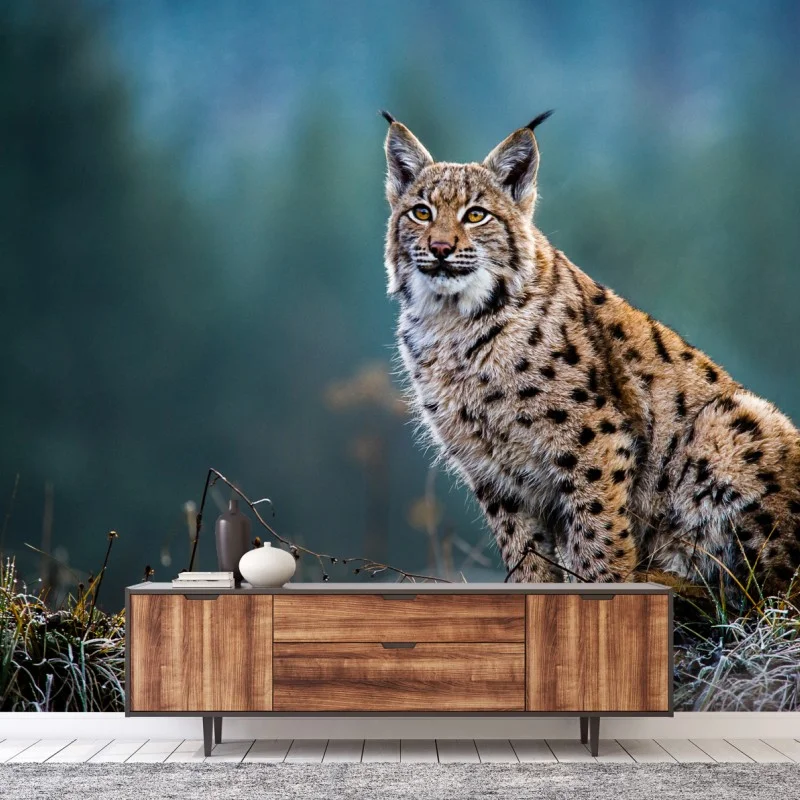 Fotomural lince en el claro del bosque