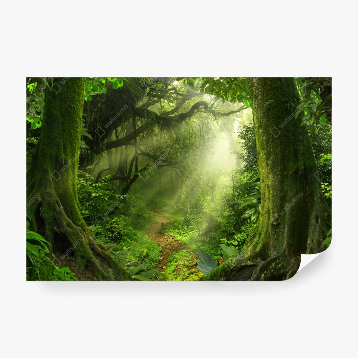 Fotomural sendero luminoso en bosque encantado – Pixers® Fotomural sendero luminoso en bosque encantado – Pixers®