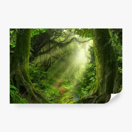 Fotomural sendero luminoso en bosque encantado – Pixers®