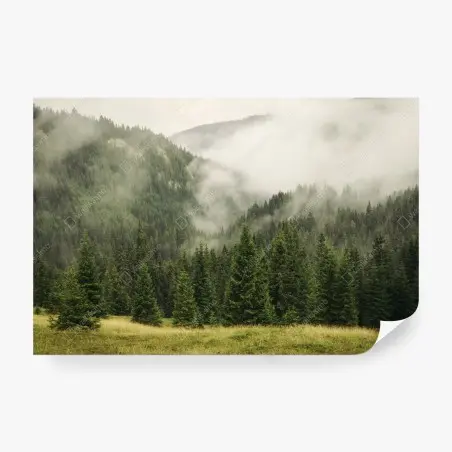 Fotomural bosque de niebla entre montañas – Pixers®