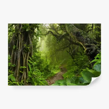 Fotomural sendero oculto en la selva esmeralda – Pixers®