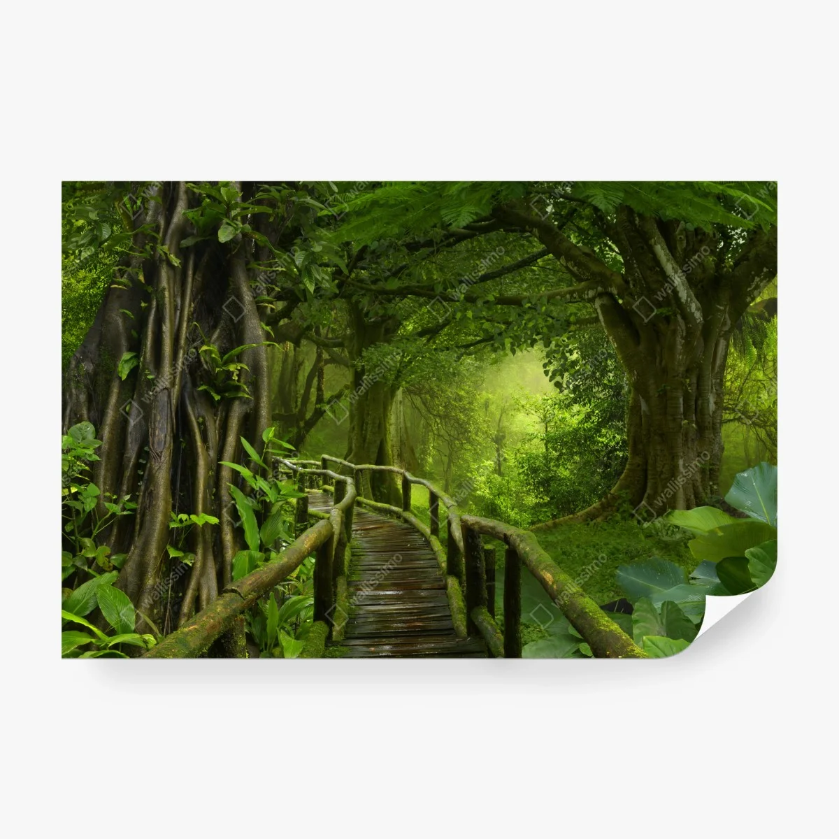 Fotomural sendero místico en la selva tropical – Pixers®