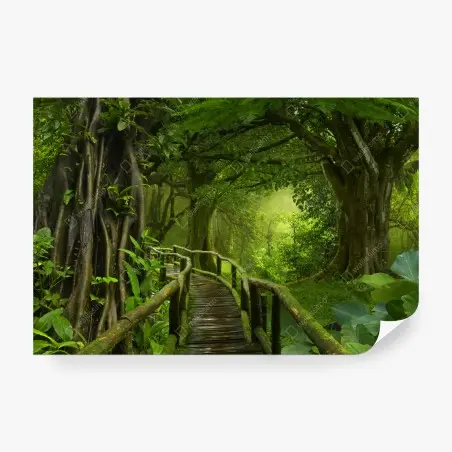 Fotomural sendero místico en la selva tropical – Pixers®