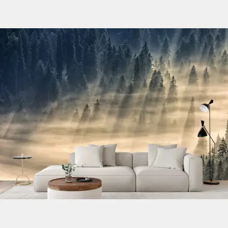 Fotomural valle de abetos entre niebla y rayos de sol – Pixers®