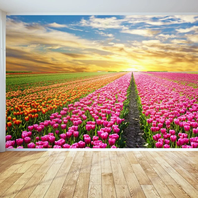 Fotomural amanecer mágico sobre campos de tulipanes en Países Bajos