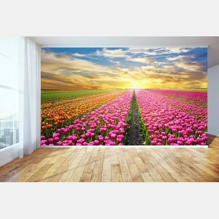 Fotomural amanecer mágico sobre campos de tulipanes en Países Bajos – Pixers®