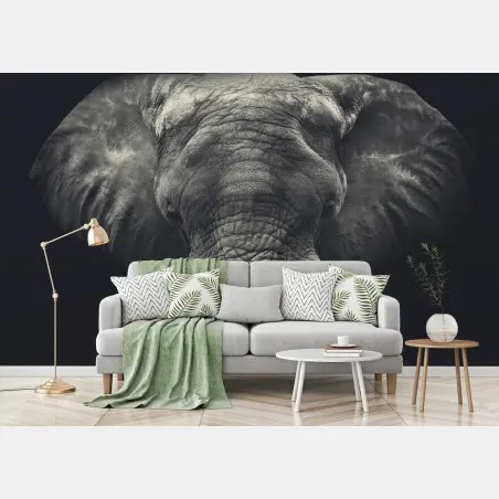 Fotomural retrato monocromo de elefante en primer plano – Pixers®