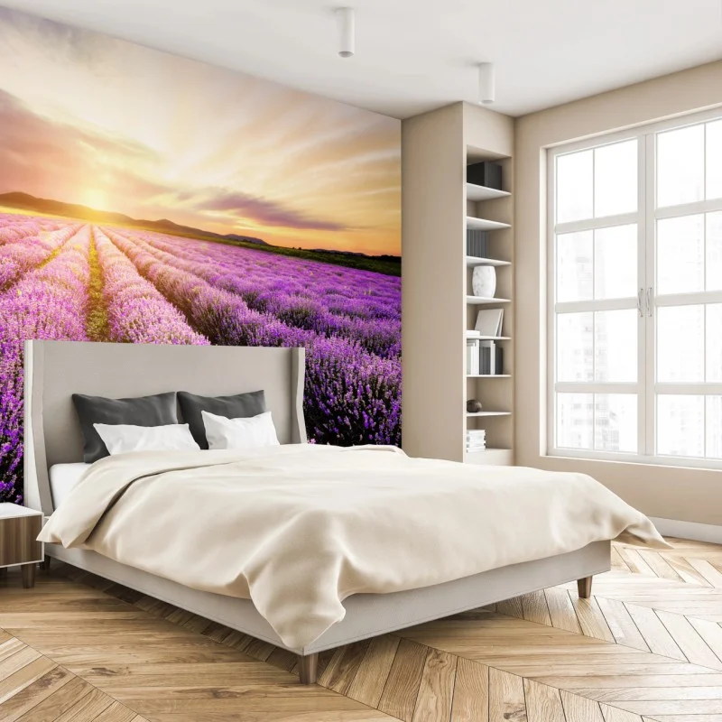 Fotomural amanecer sobre campos de lavanda en Bulgaria