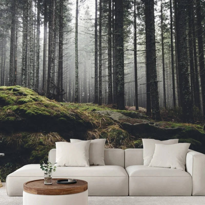Fotomural bosque enigmático entre la niebla