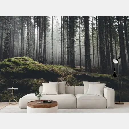 Fotomural bosque enigmático entre la niebla – Pixers®