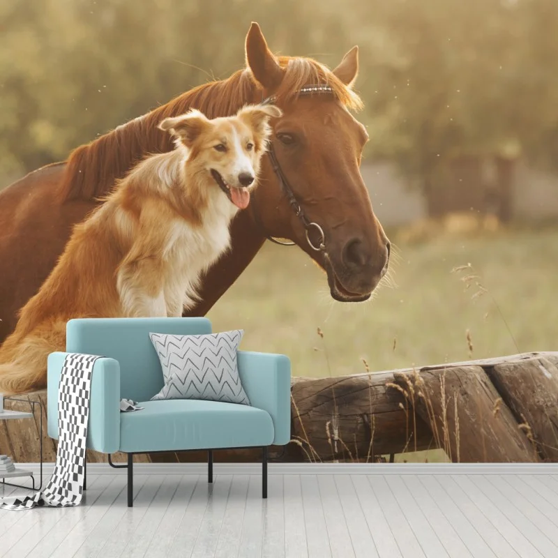 Fotomural amistad campestre entre perro y caballo