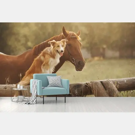 Fotomural amistad campestre entre perro y caballo – Pixers®