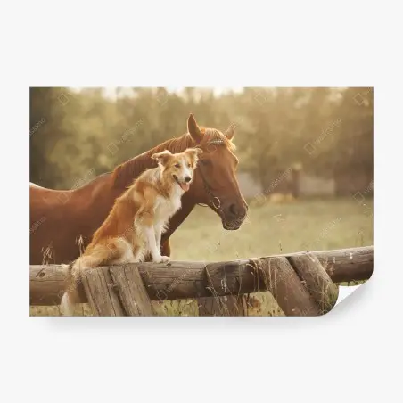 Fotomural amistad campestre entre perro y caballo – Pixers®