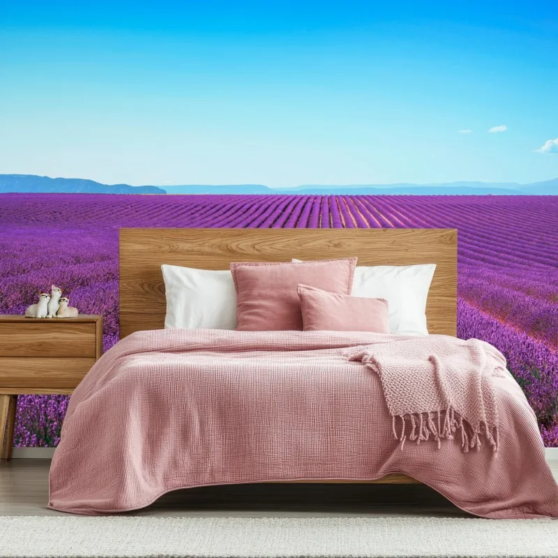 Fotomural panorama de campos de lavanda en flor