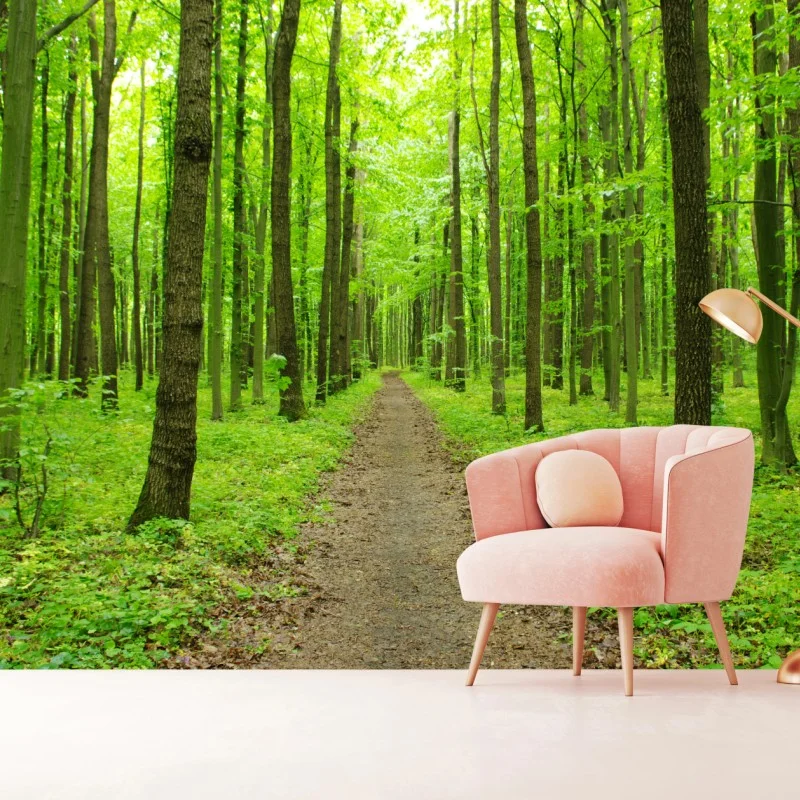 Fotomural sendero verde en bosque primaveral – Pixers®