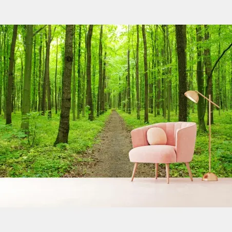 Fotomural sendero verde en bosque primaveral – Pixers®