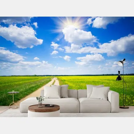 Fotomural camino entre campos de colza bajo cielo azul – Pixers®