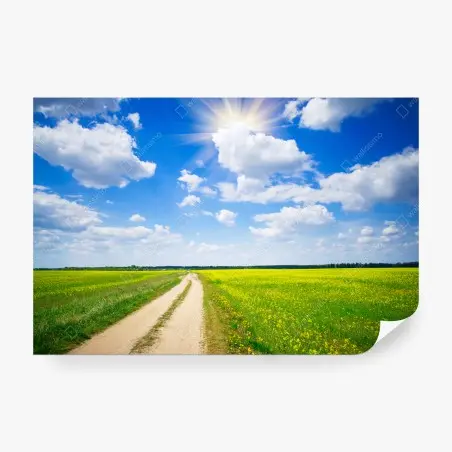 Fotomural camino entre campos de colza bajo cielo azul – Pixers®