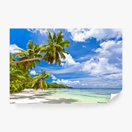 Fotomural paraíso tropical palmeras sobre mar cristalino – Pixers®