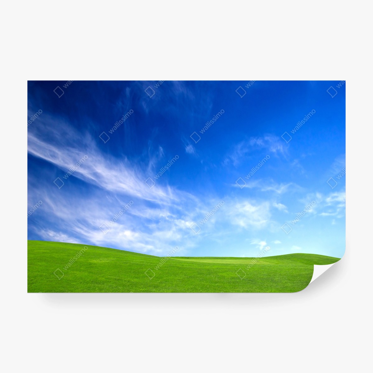 Fotomural pradera bajo cielo azul – Pixers®