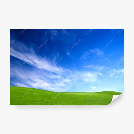 Fotomural pradera bajo cielo azul – Pixers®