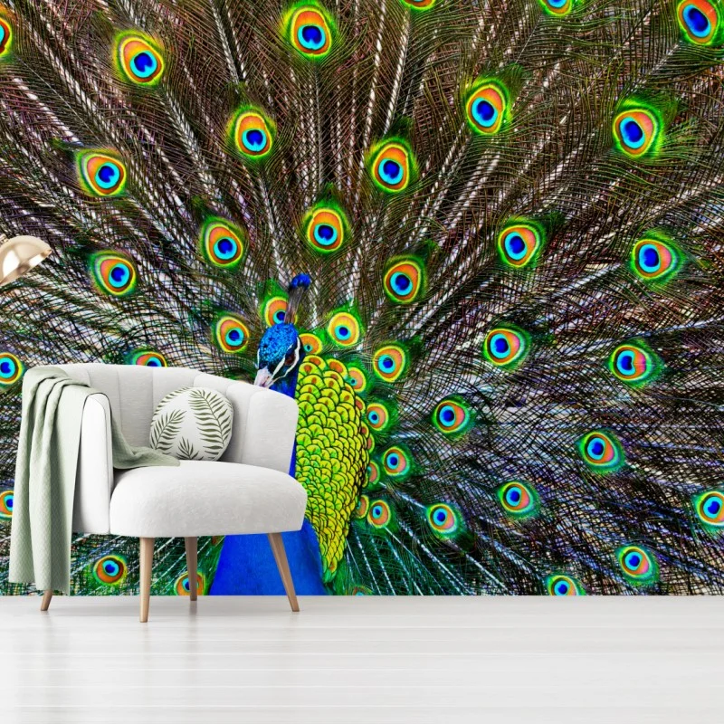 Fotomural pavo real en pleno despliegue