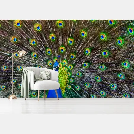 Fotomural pavo real en pleno despliegue – Pixers®
