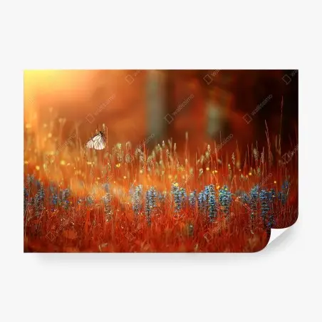 Fotomural amanecer dorado con mariposa en pradera – Pixers®