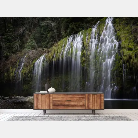 Fotomural cascada de cortina en bosque musgoso – Pixers®