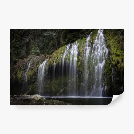 Fotomural cascada de cortina en bosque musgoso – Pixers®