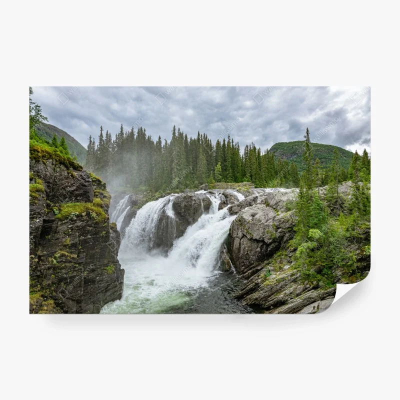 Fotomural cascada en bosque rocoso bajo cielo nublado