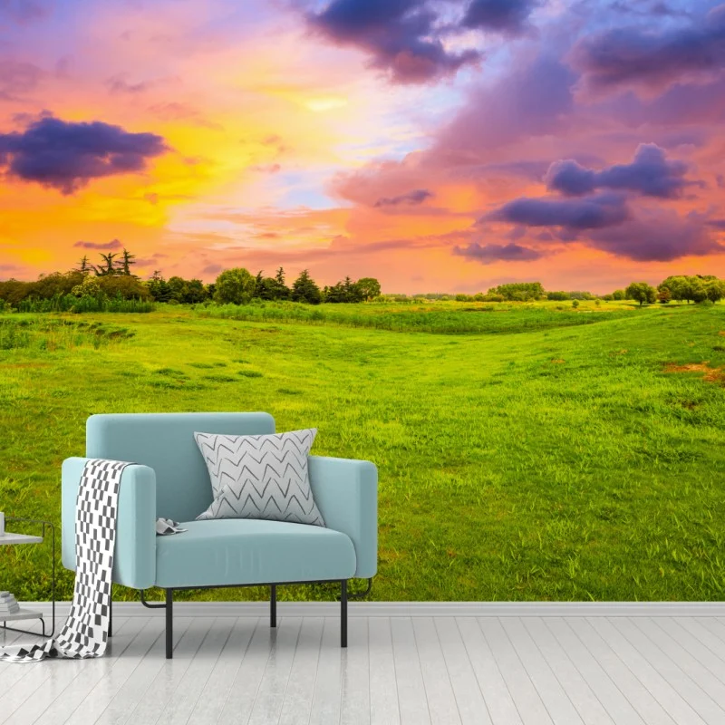 Fotomural paisaje de pradera al atardecer con cielo colorido