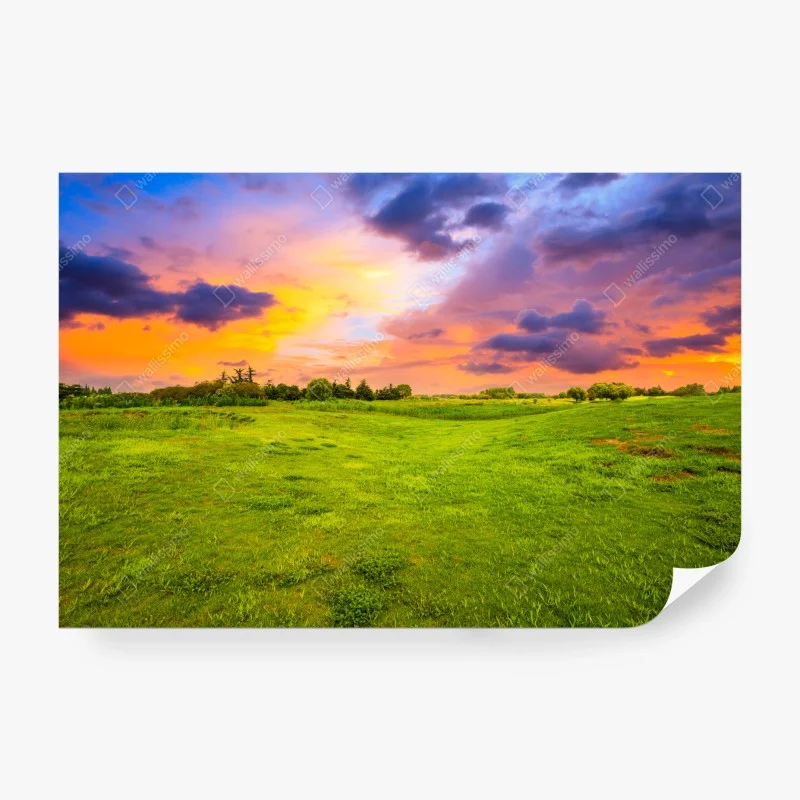 Fotomural paisaje de pradera al atardecer con cielo colorido