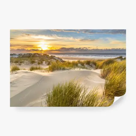 Fotomural atardecer dorado en las dunas de Ameland – Pixers®