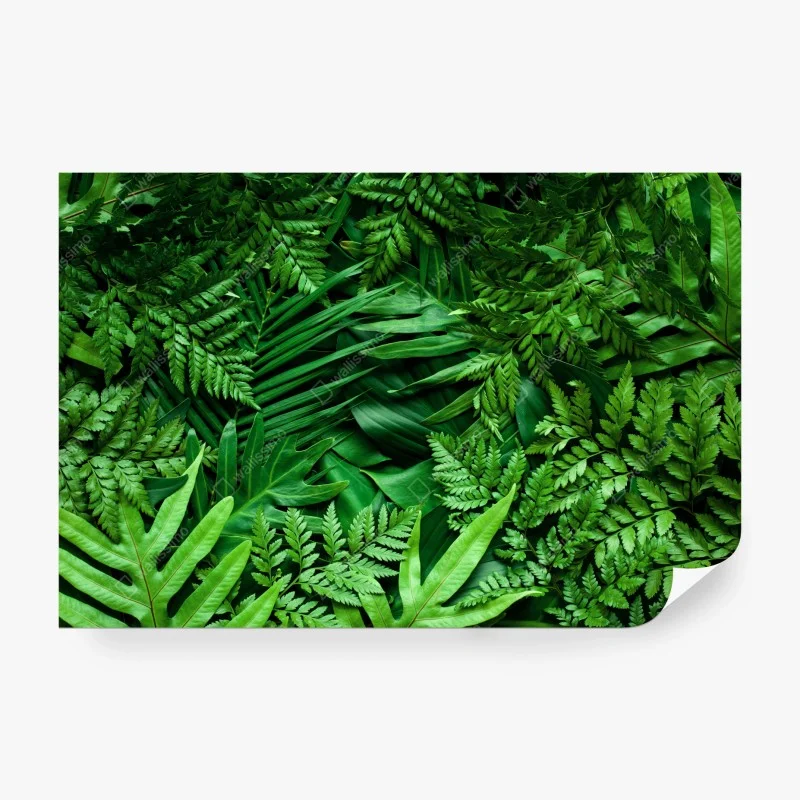 Fotomural follaje tropical exuberante en tonos verdes