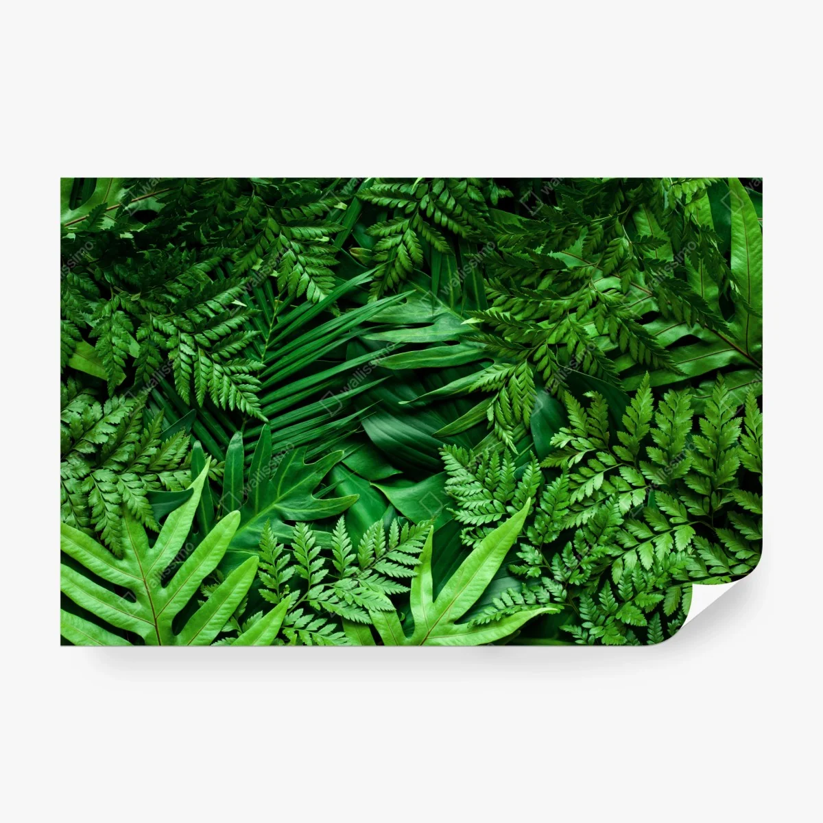 Fotomural follaje tropical exuberante en tonos verdes – Pixers® Fotomural follaje tropical exuberante en tonos verdes – Pixers®