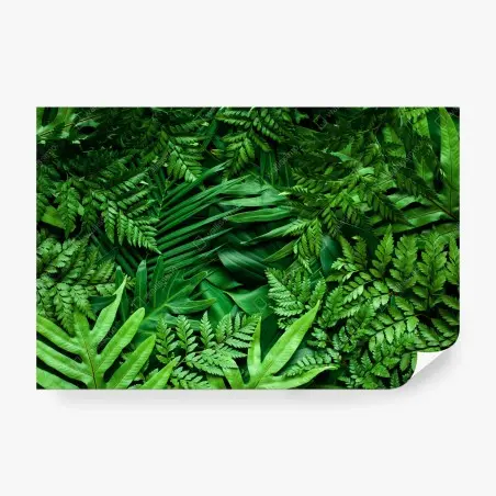 Fotomural follaje tropical exuberante en tonos verdes – Pixers®