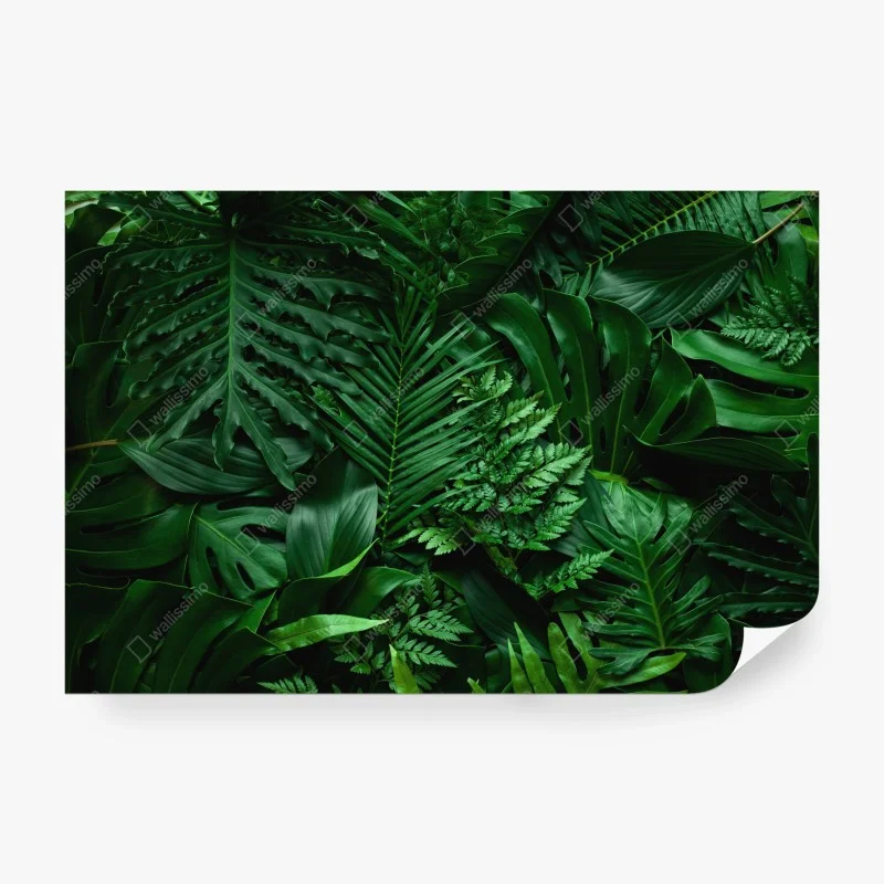 Fotomural hojas tropicales en verde profundo