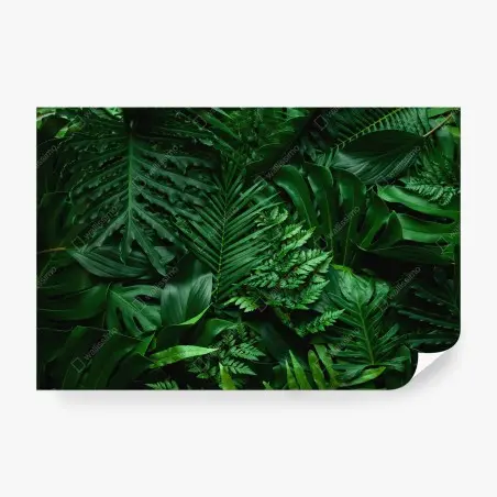 Fotomural hojas tropicales en verde profundo – Pixers®