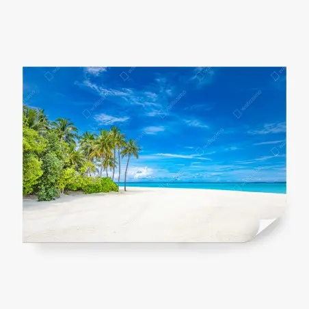 Fotomural playa tropical con palmeras y cielo azul – Pixers®