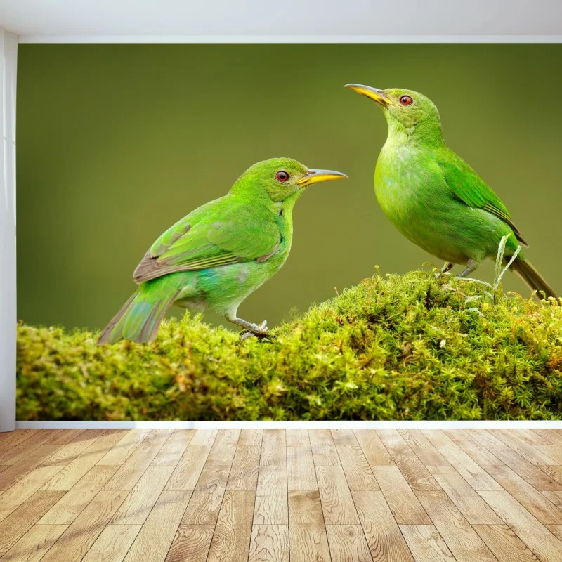 Fotomural pareja de aves verdes sobre musgo tropical
