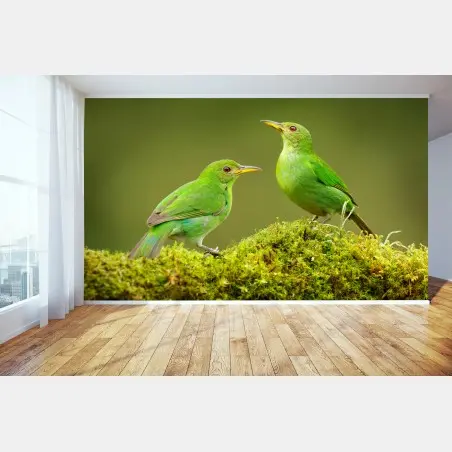 Fotomural pareja de aves verdes sobre musgo tropical – Pixers®